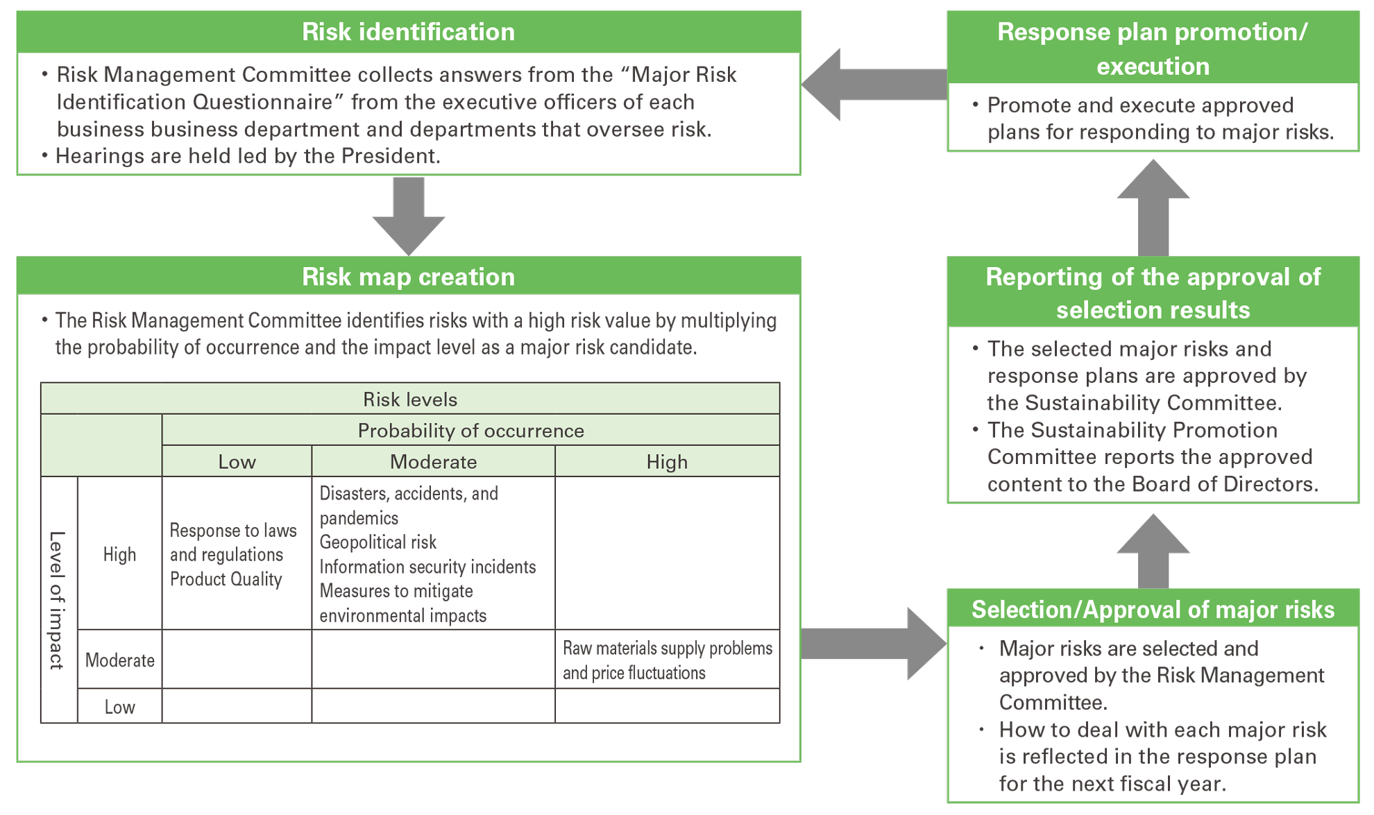 Major Risk Selection and Approval Process chart