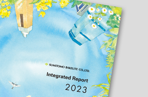 Integrated Report Cover photo