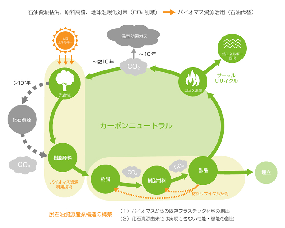 石油資源枯渇、原料高騰、地球温暖化対策(CO2削減)→バイオマス資源活用(石油代替) 脱石油資源産業構造の構築 (1)バイオマスからの既存プラスチック材料の創出 (2)化石資源由来では実現できない性能・機能の創出