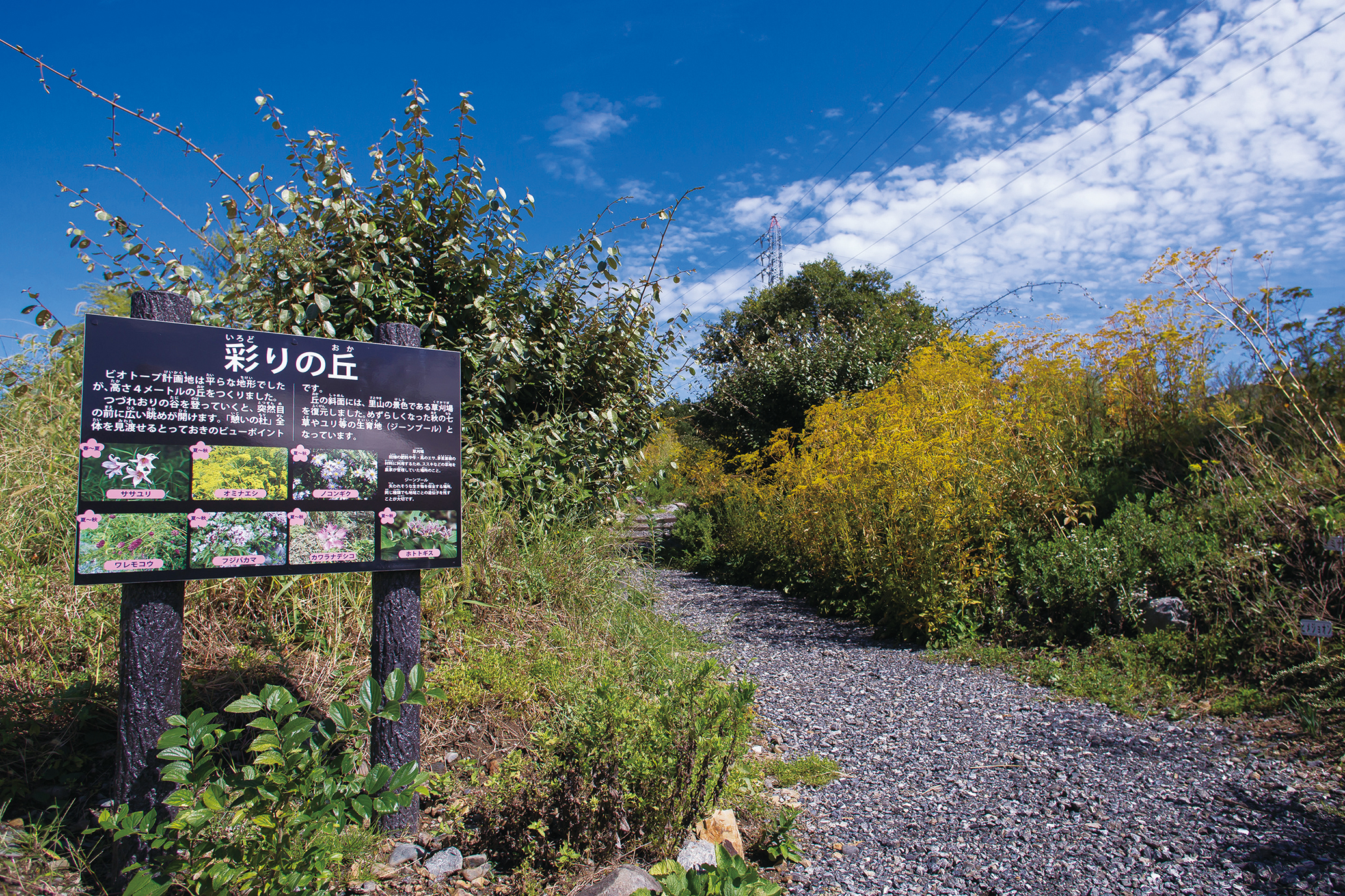 Biotope