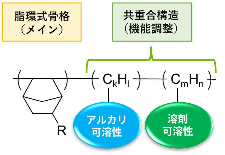 ポジ型感光膜用ポリマー構造図
