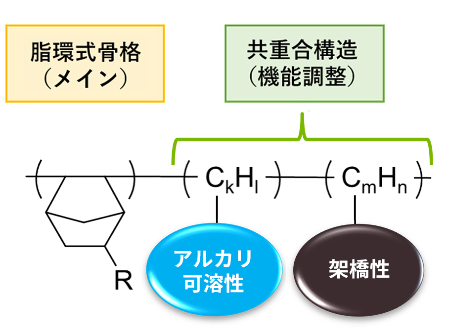 ネガ型感光膜構造図
