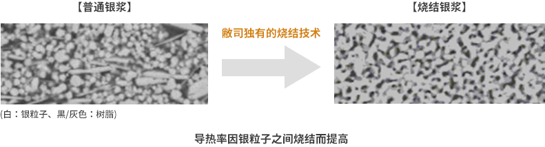 横截面图像