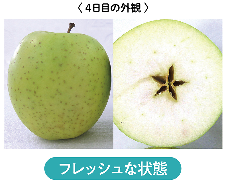 フレッシュな状態