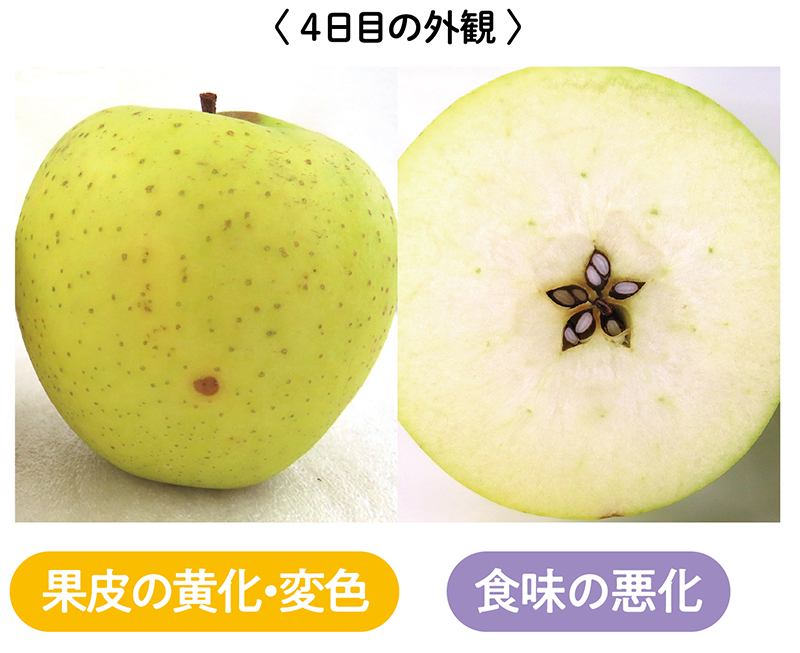 果皮の黄化・変色・食味も悪化