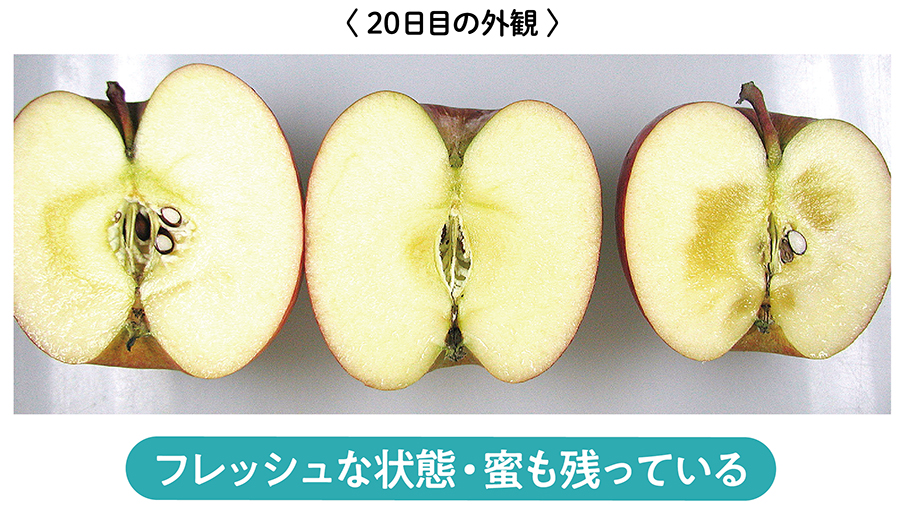 20日目の外観、フレッシュな状態、蜜も残っている