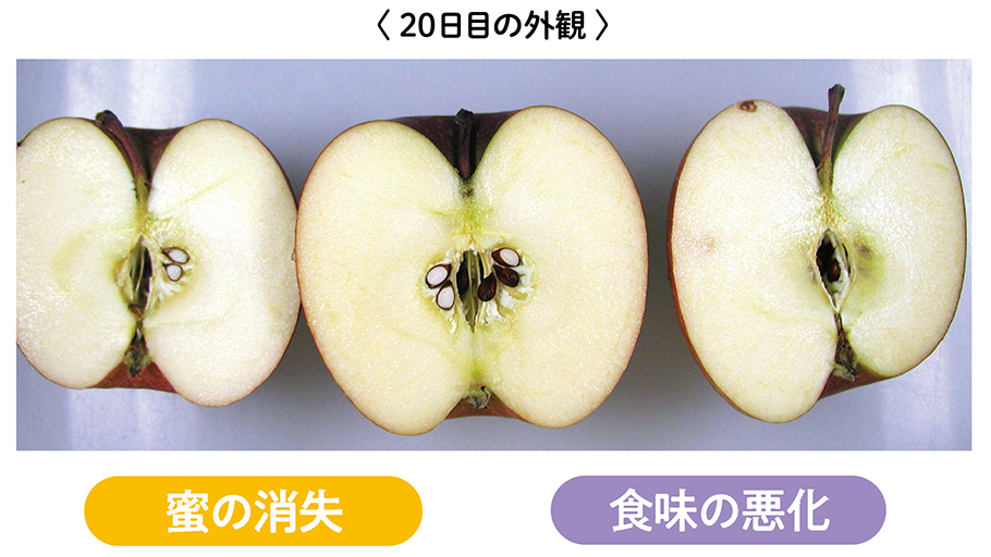 20日目の外観、蜜の引き、食味の悪化