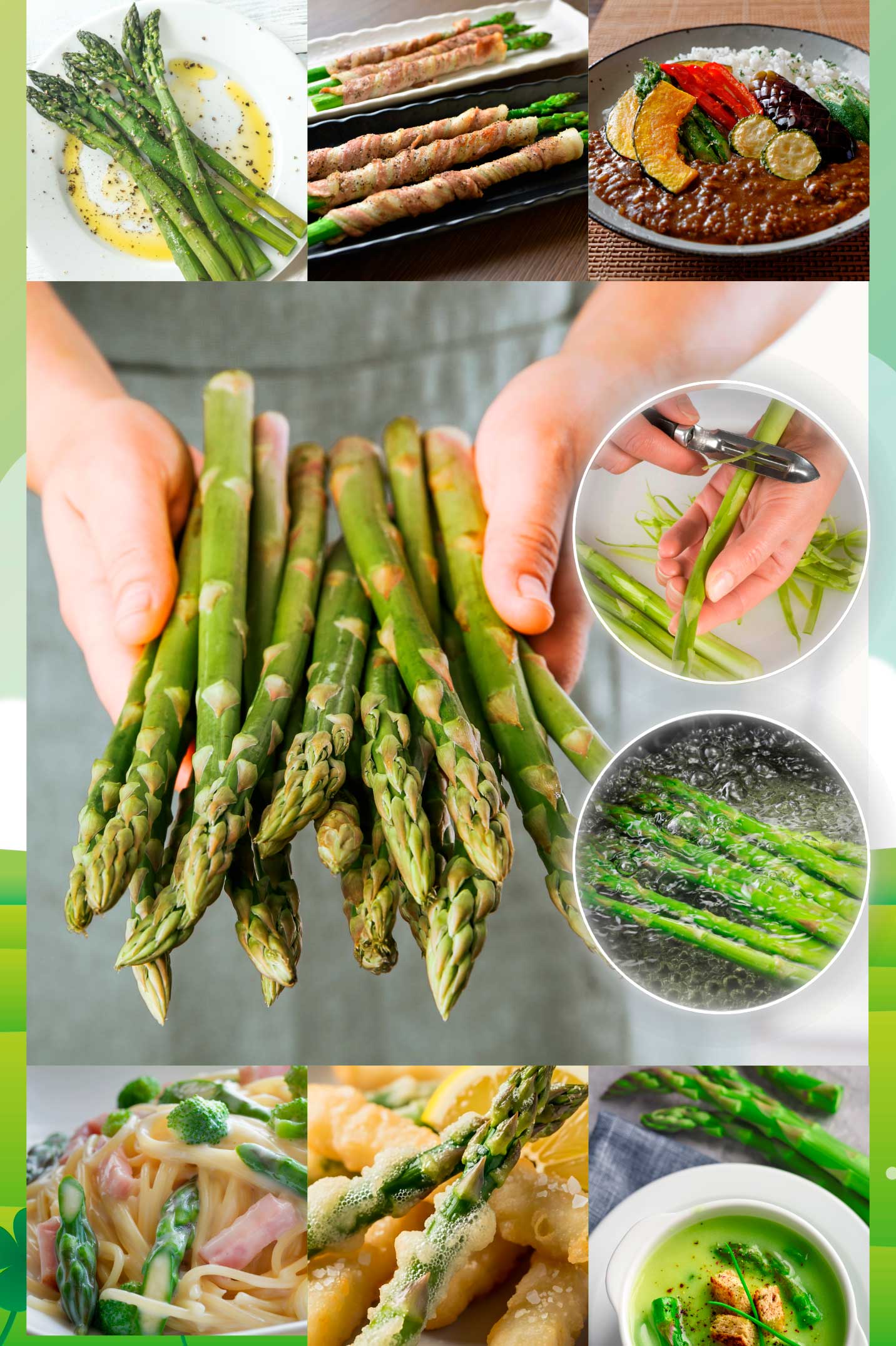 アスパラガスイメージ写真