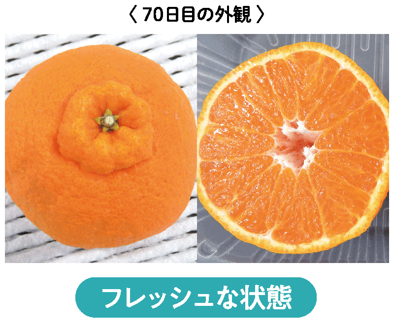 フレッシュな状態