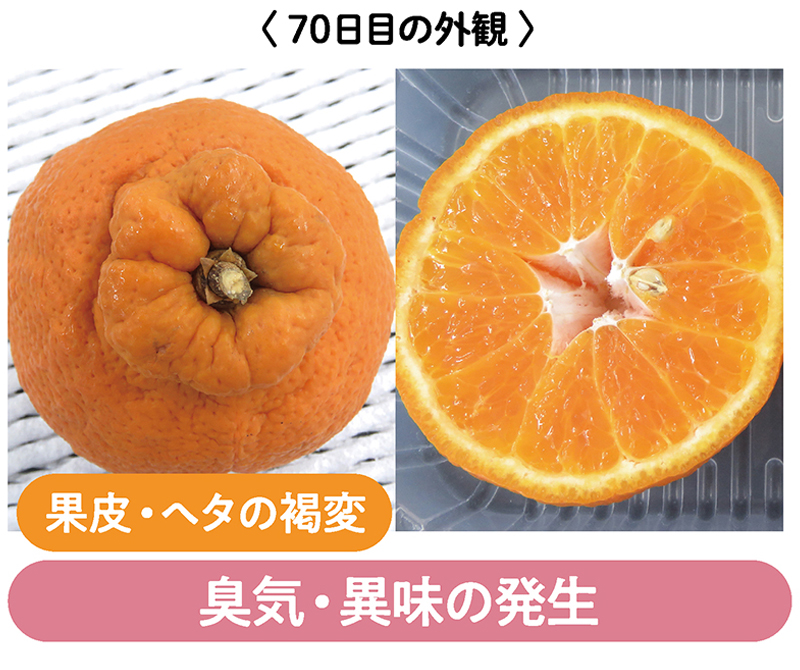 臭気、異味の発生、果皮、ヘタの褐変