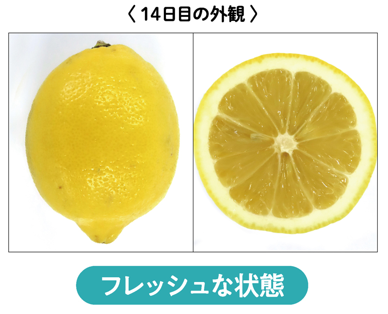 フレッシュな状態