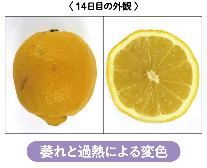 萎れと過熱による変色