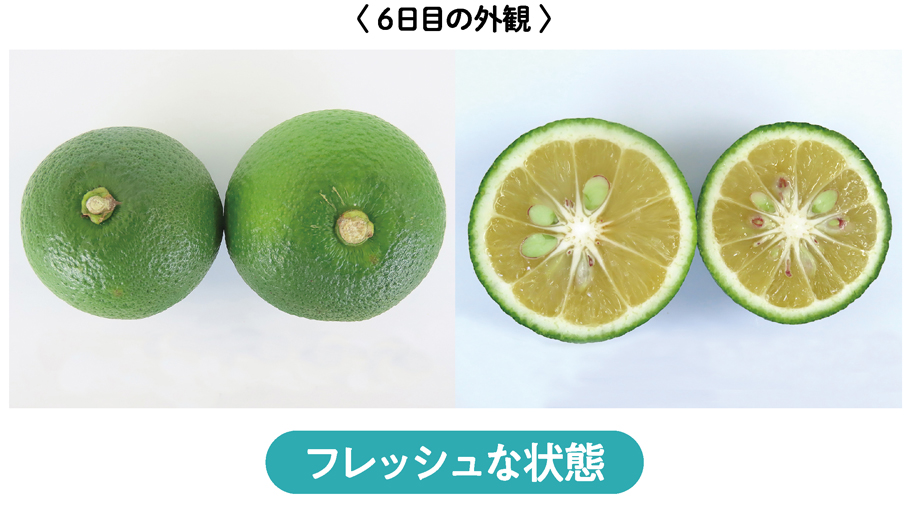 フレッシュな状態