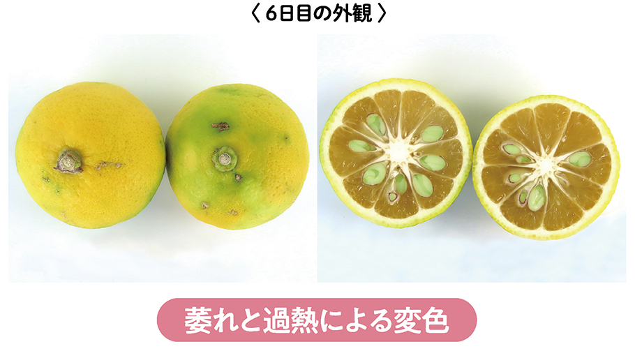 萎れと過熱による変色