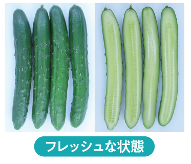 4日目の外観　問題なし
