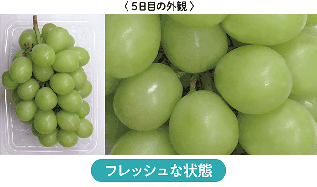 フレッシュな状態