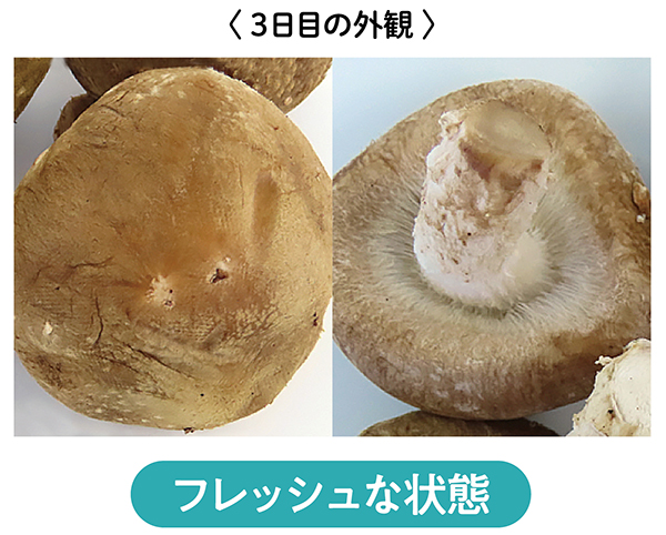 フレッシュな状態