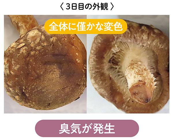臭気が発生