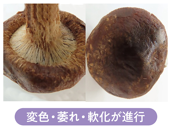 変色・萎れ・軟化が進行