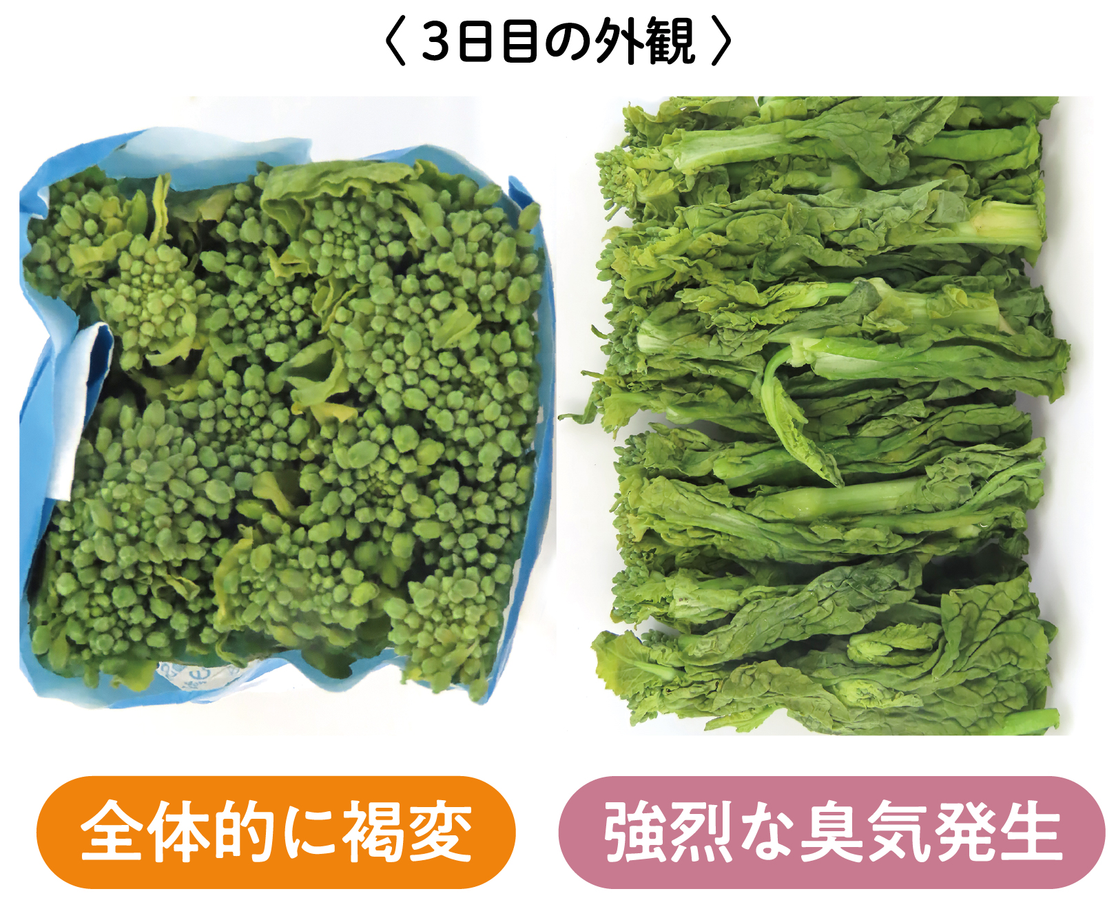 臭気、異味の発生、果皮、ヘタの褐変