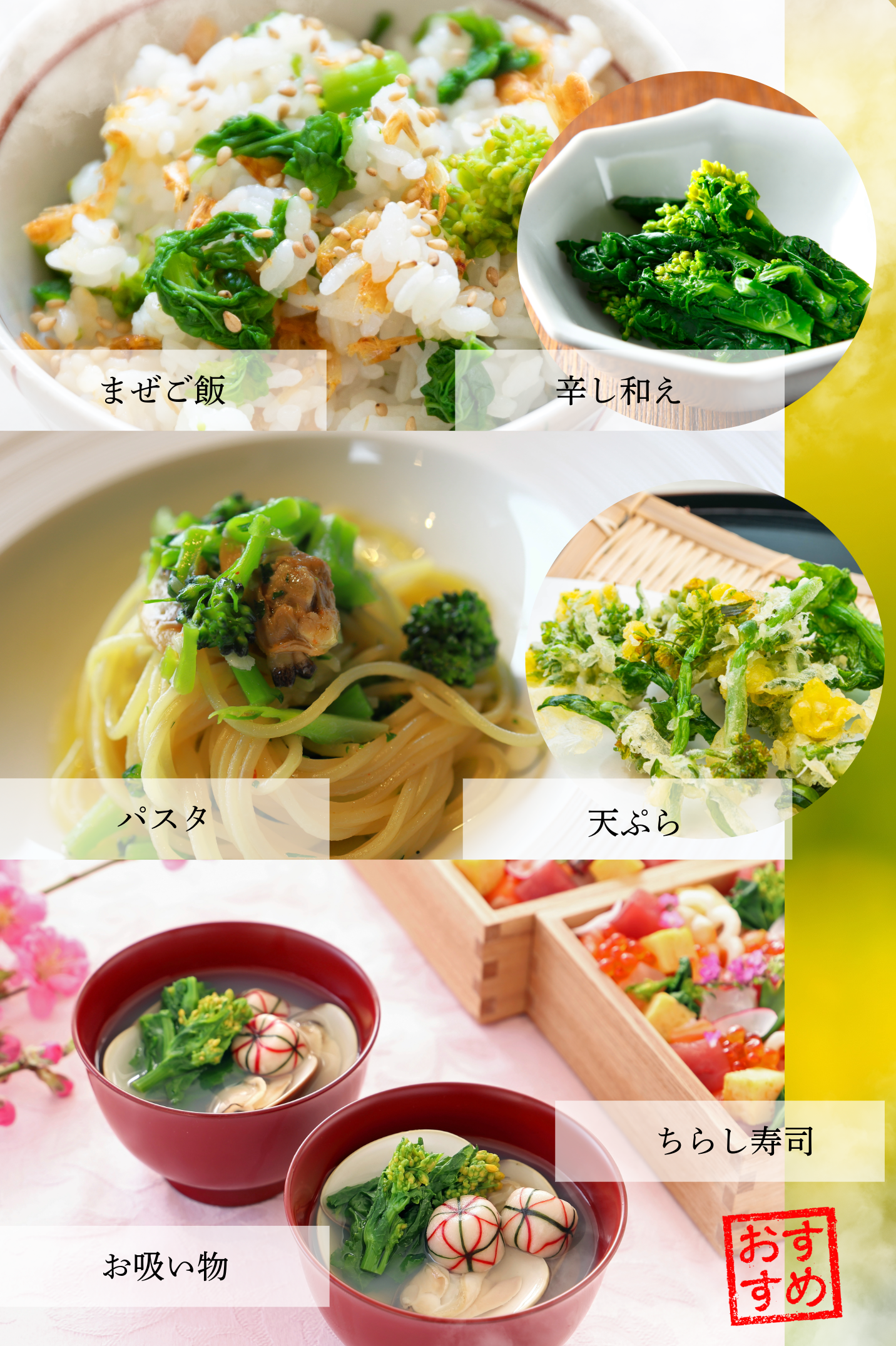 ナバナレシピイメージ写真