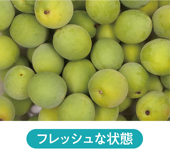 フレッシュな状態の梅