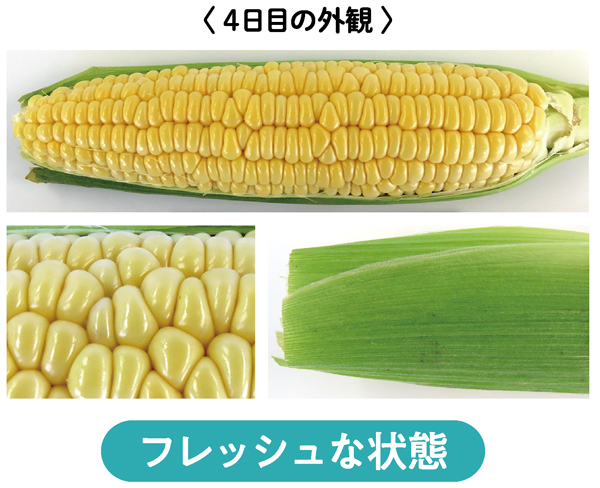 フレッシュな状態