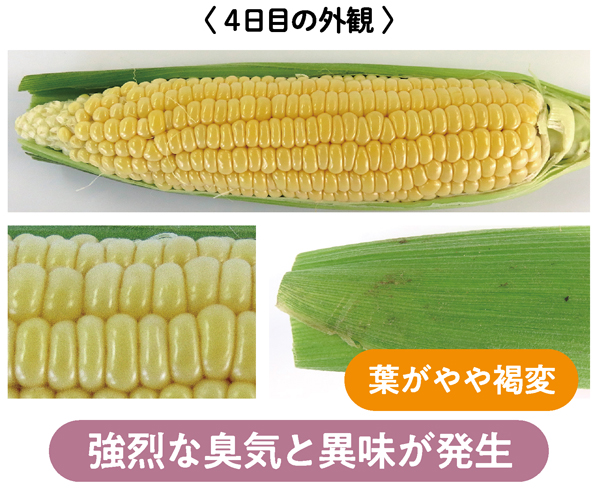 葉がやや褐変し強烈な臭気と異味が発生