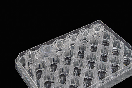 SUMILON® Companion Plate for Cell Culture Insert