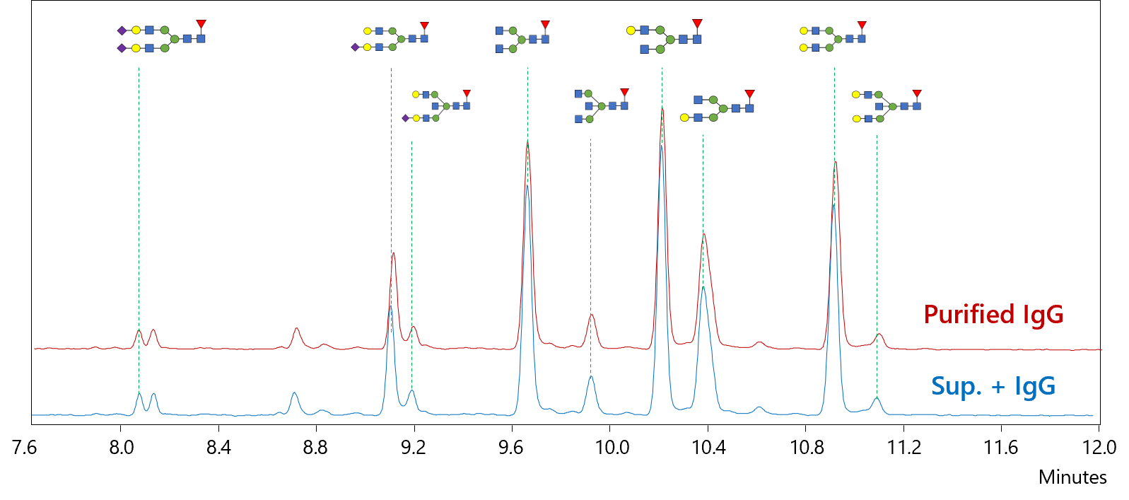 N-glycan analysis of IgG in cell culture supernatant