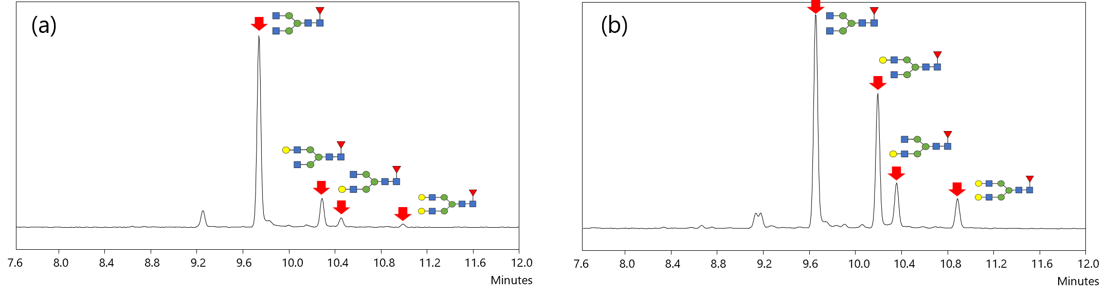 N-glycan analysis of Antibody-Drug Conjugates (ADC)