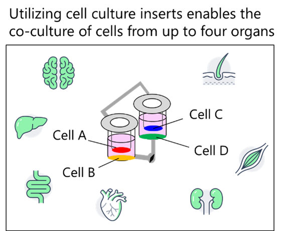 Fig. 2. Conceptual Diagram of the Co-culture System