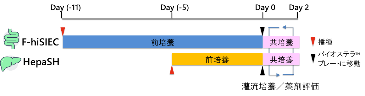 図4. 実験スケジュール