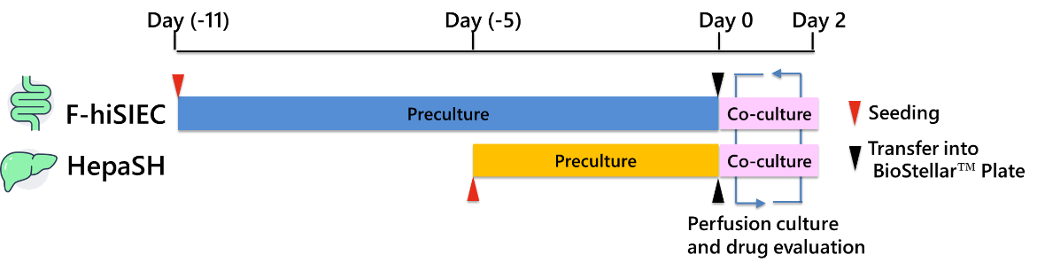 Fig. 4. Experimental Schedule