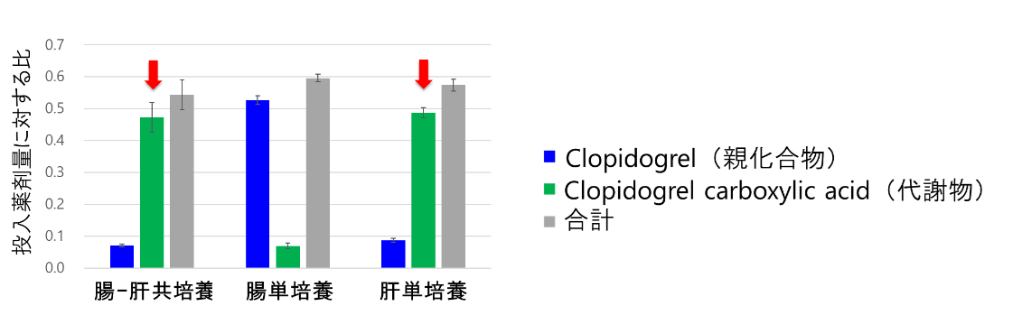 図6. Clopidogrelおよび代謝物の総量