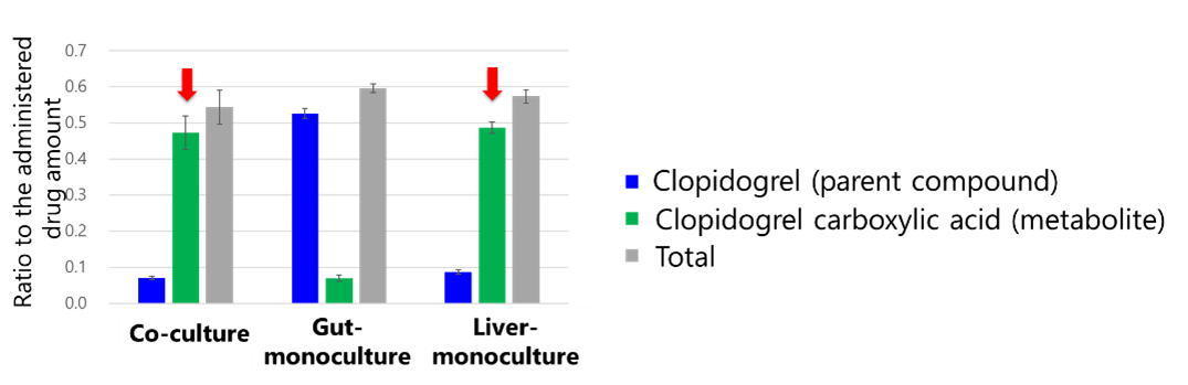 Fig. 6. Total amounts of Clopidogrel and its metabolites