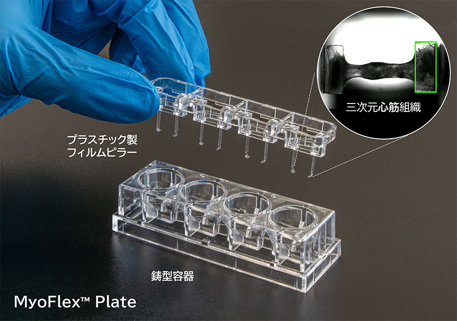 試験販売品 3D心筋組織収縮測定用デバイス MyoFlex™ Plate