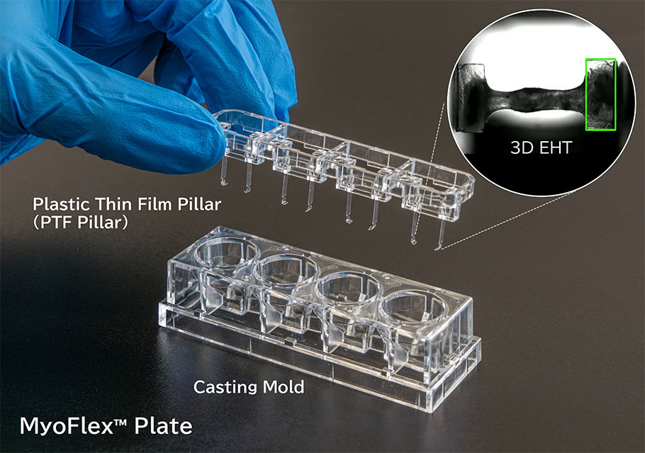 Trial Sale Cardiac Microphysiological System MyoFlex&trade; Plate