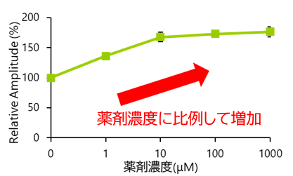 収縮距離（相対比）