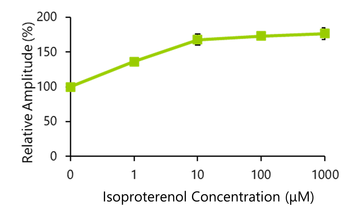 Fig.2 Changes in relative contractile force in response to Isoproterenol