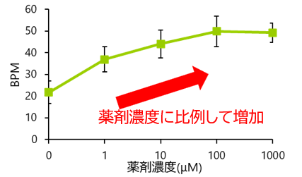 心拍数