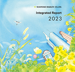 Integrated Report