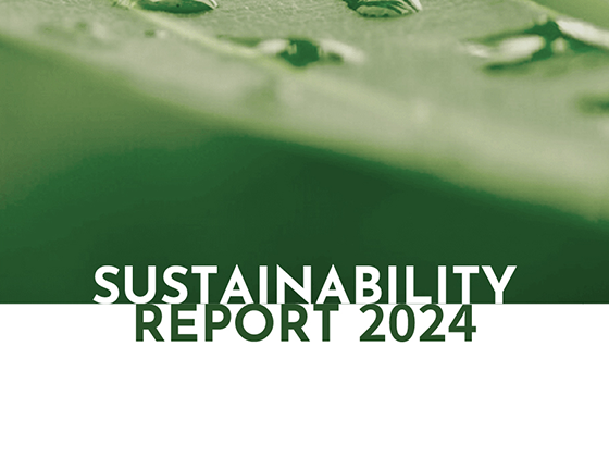 sustainability report