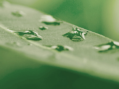 sustainability report