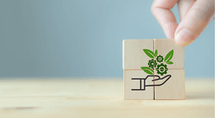 Sustainability Initiatives