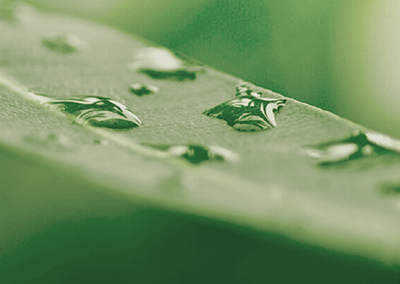 Sustainability Report / Assurance Report