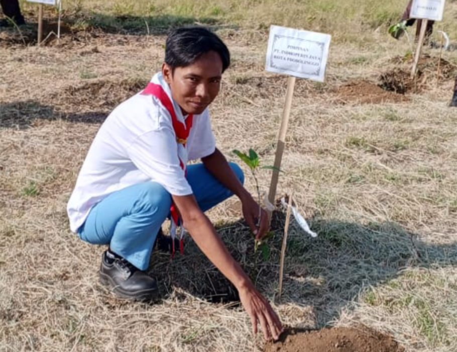 P.T. Indopherin Jaya