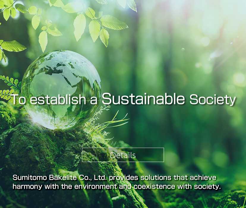 To establish a sustainable society
