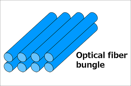 Optical fiber bungle