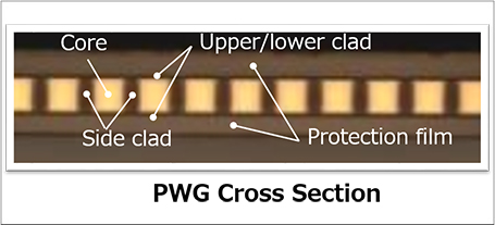 Cross sectional view